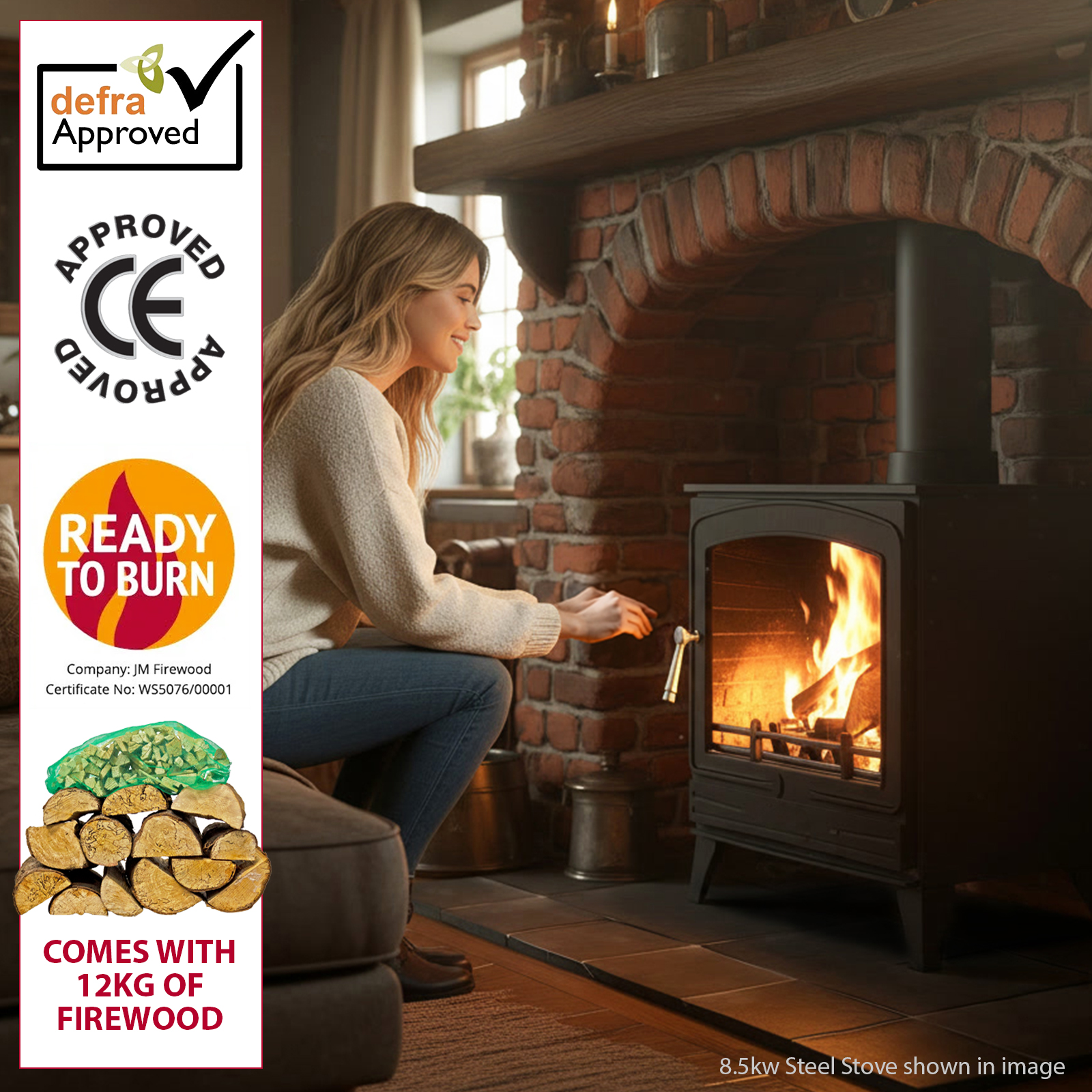 8.5kw steel eco multifuel stove + firewood starter kit