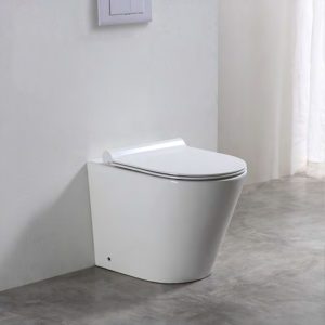 baku back to wall toilet