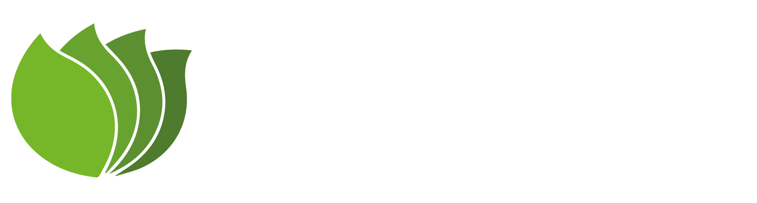 2025 green4 and white with tag big