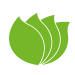 oseasons1 copy green
