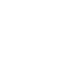 White Oseasons Icon Logo leaves